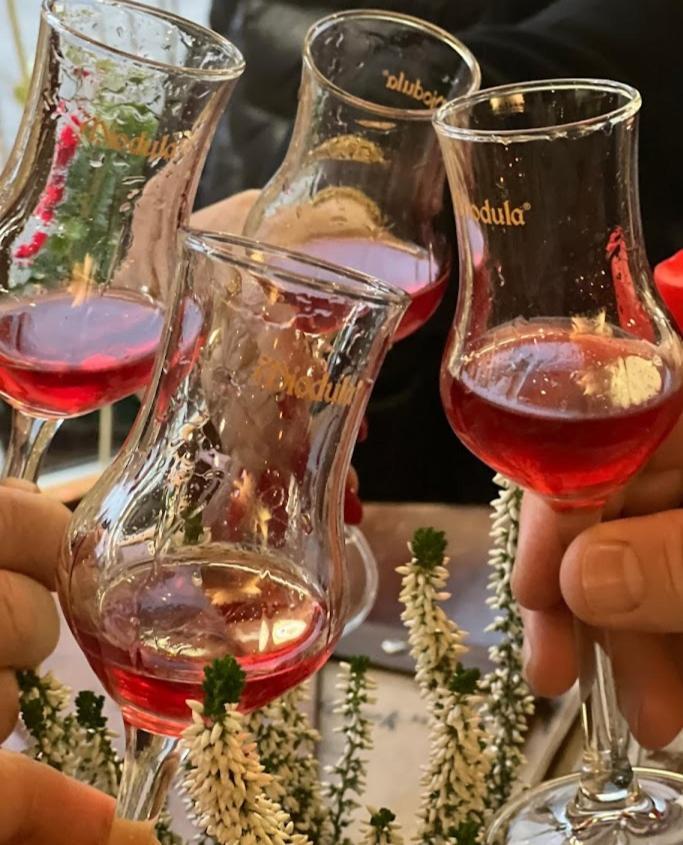 Rezydencja Bialy Jar Karpacz Esterno foto